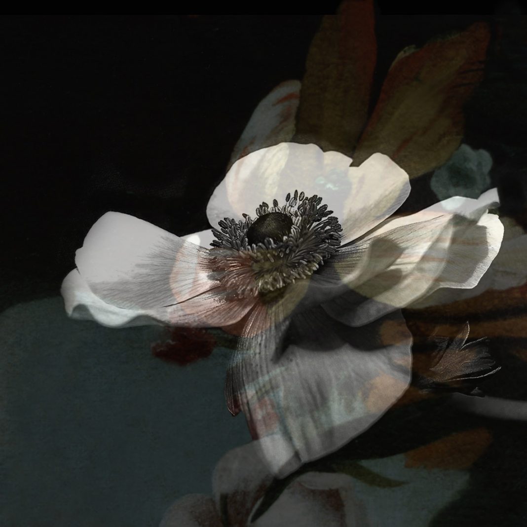 Silvia Gaffurini – Tempo vitahttps://www.exibart.com/repository/media/eventi/2015/01/silvia-gaffurini-8211-tempo-vita-1068x1068.jpg