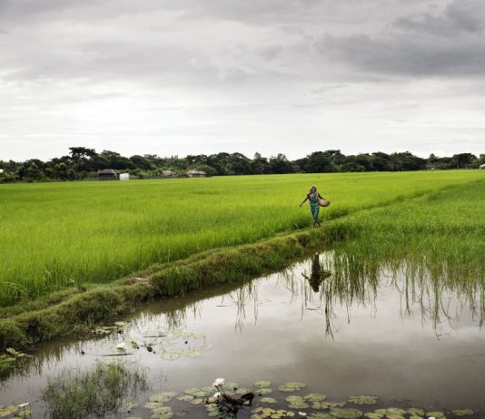 Beatrice Mancini – Princess of Waterland. Amronia di luce e fango