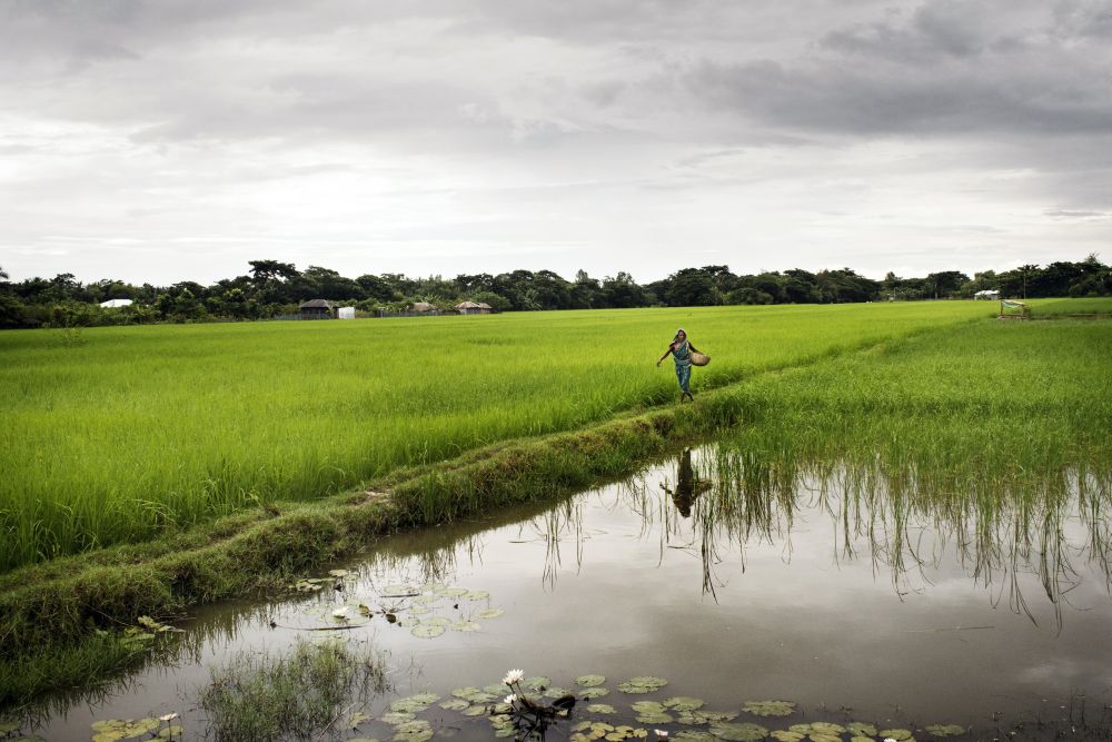 Beatrice Mancini – Princess of Waterland. Amronia di luce e fangohttps://www.exibart.com/repository/media/eventi/2015/02/beatrice-mancini-8211-princess-of-waterland.-amronia-di-luce-e-fango.jpg