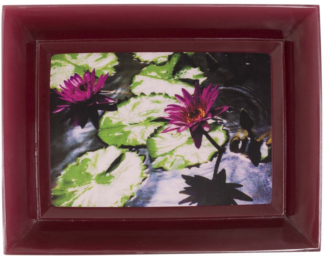 Chiara Dynys – Poisoned flowershttps://www.exibart.com/repository/media/eventi/2015/02/chiara-dynys-8211-poisoned-flowers-1068x844.jpg