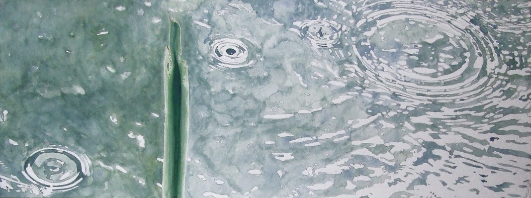 Ferruccio Pantalfini – Visioni e Riflessihttps://www.exibart.com/repository/media/eventi/2015/02/ferruccio-pantalfini-8211-visioni-e-riflessi-1068x398.jpg