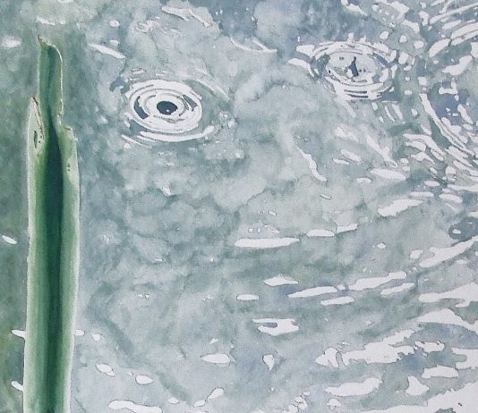 Ferruccio Pantalfini – Visioni e Riflessi Ferruccio Pantalfini – Visioni e Riflessi