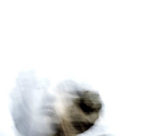 Flavio Parente – Sublimazioni. Inanima. Le Regioni dell’Anima