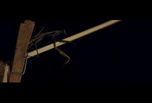 How To Cure Our Soul – Vacuus