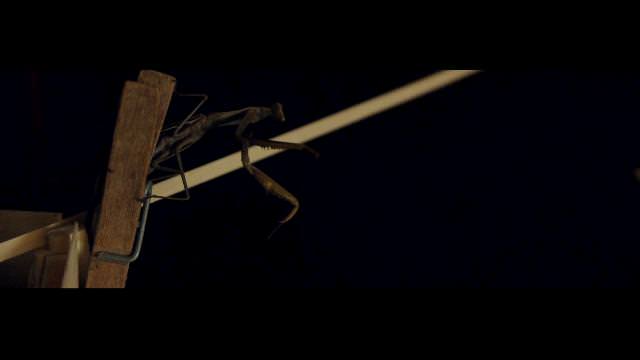 How To Cure Our Soul – Vacuushttps://www.exibart.com/repository/media/eventi/2015/02/how-to-cure-our-soul-8211-vacuus.jpg