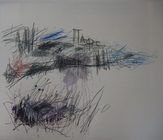 Leonardo D’Amico – E’ senza