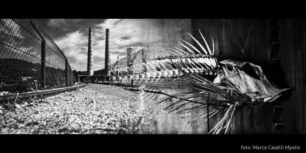 Marco Caselli Myotis – Meccanismi Naturalihttps://www.exibart.com/repository/media/eventi/2015/02/marco-caselli-myotis-8211-meccanismi-naturali-1068x534.jpg