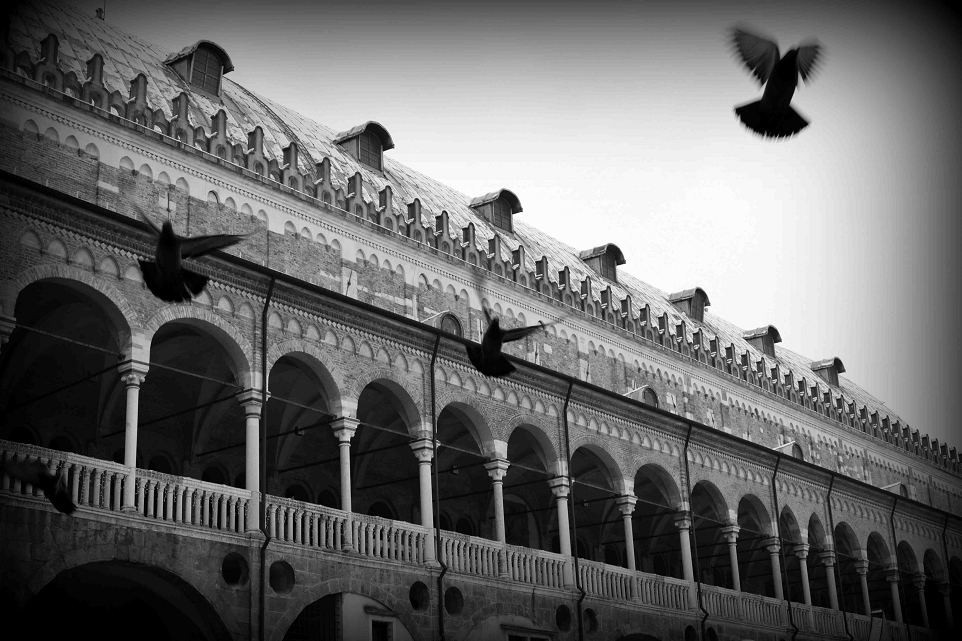 Matteo Bernardi – Padova 1888https://www.exibart.com/repository/media/eventi/2015/02/matteo-bernardi-8211-padova-1888.jpg