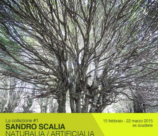 Sandro Scalia – naturalia /artificialia