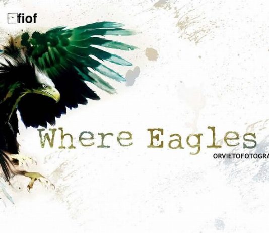 Where eagles dare