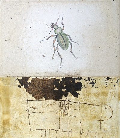 Alfio Edoardo Antognetti – Kleines Entomologisches