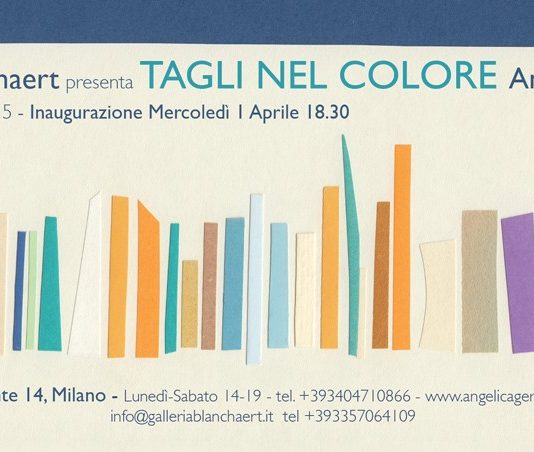 Angelica Gerosa – Tagli nel colore