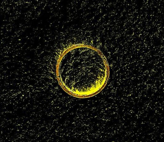 Caruso Pezzal – The Clone Wars