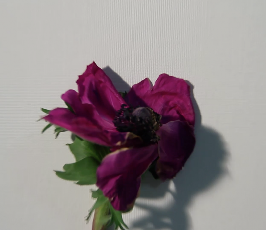 Congiunzione Tempo Infinito