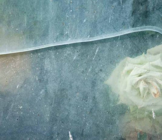 Ferruccio Carassale – Trasparenze