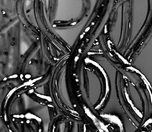 Isabella Nurigiani – Immersioni fluide