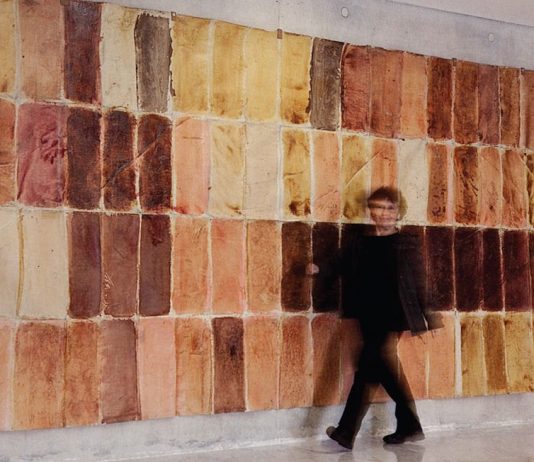 Renata Boero – Inclusioni Renata Boero – Inclusioni