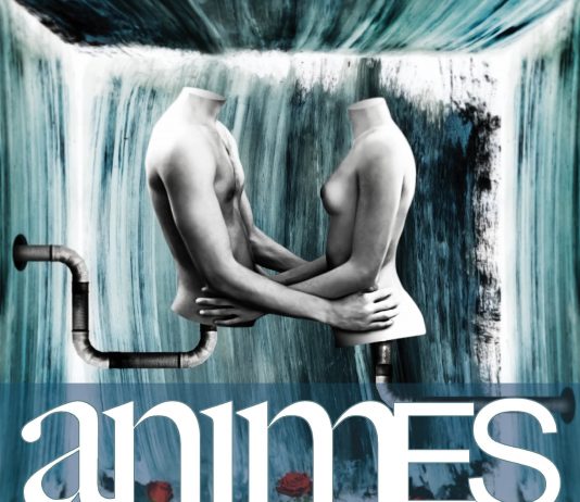 Animes Festival: Still water