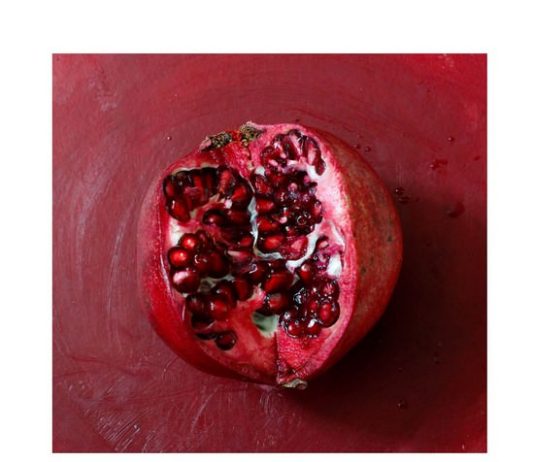 Benedetta Casagrande – Ichthys