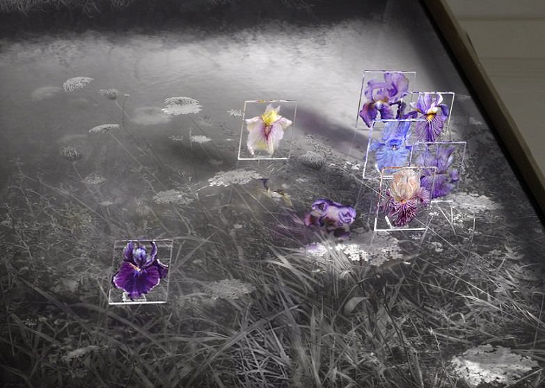 Lena Liv /Lindy Nsingo – Dancing Makes Me Joyfulhttps://www.exibart.com/repository/media/eventi/2015/04/lena-liv-lindy-nsingo-8211-dancing-makes-me-joyful.jpg