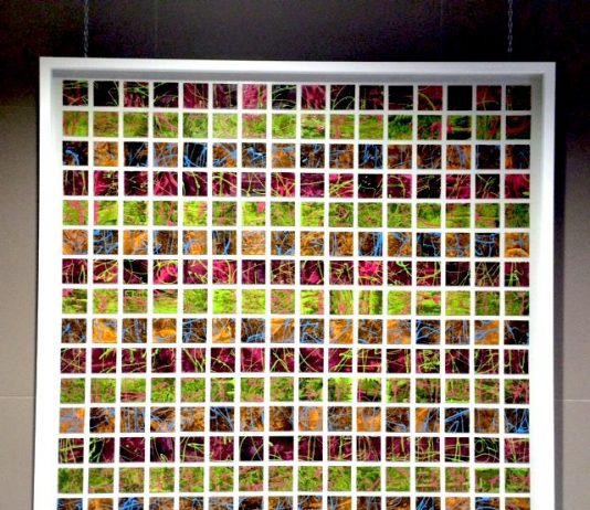 Patrizia Palitta – Scomposizioni visive