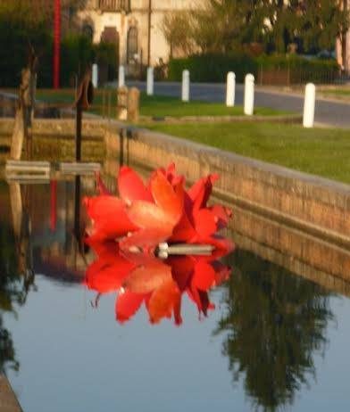 SCULTURE in Acqua in Piazza in Aria