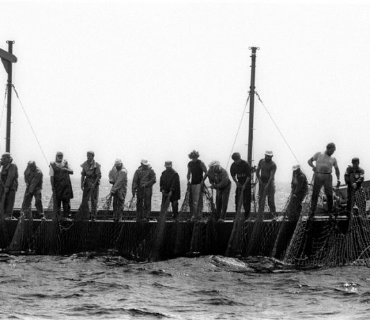 Stefano Fogato – Tunnina frisca, i tonnaroti di Favignana