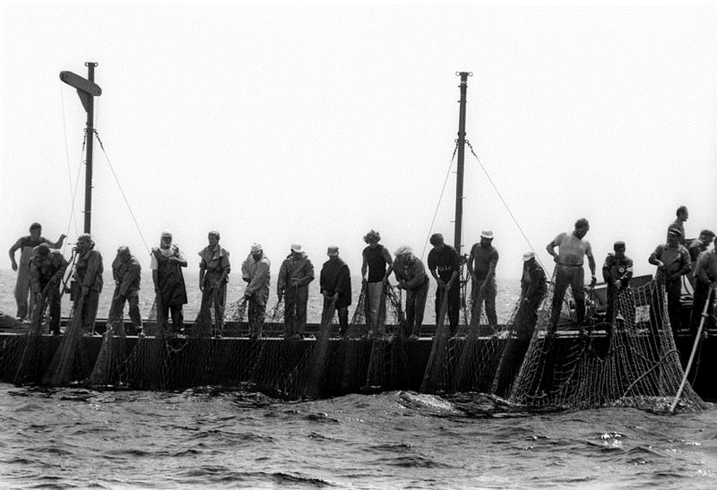 Stefano Fogato – Tunnina frisca, i tonnaroti di Favignanahttps://www.exibart.com/repository/media/eventi/2015/04/stefano-fogato-8211-tunnina-frisca-i-tonnaroti-di-favignana.jpg