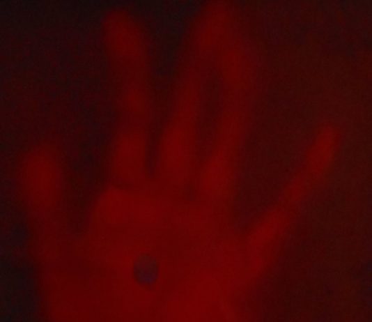 Storia di un anno: Elena Pinzuti