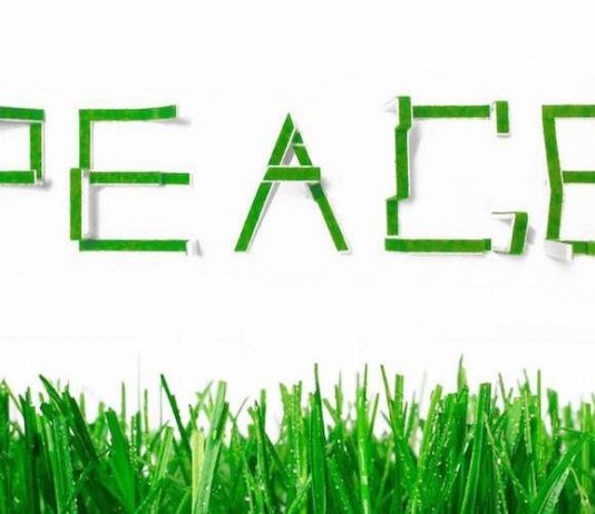 56° Biennale d’Arte di Venezia – Can you see?