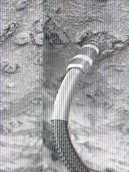 56° Biennale d’Arte di Venezia – Céleste Boursier-Mougenot