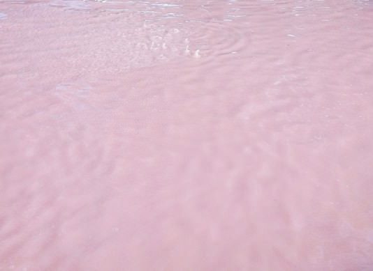 56° Biennale d’Arte di Venezia – Pamela Rosenkranz