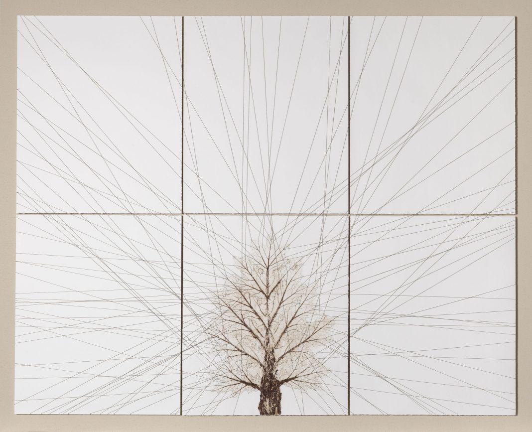 Barbara Nicoli – Semiotica della Naturahttps://www.exibart.com/repository/media/eventi/2015/05/barbara-nicoli-8211-semiotica-della-natura-1-1068x867.jpg