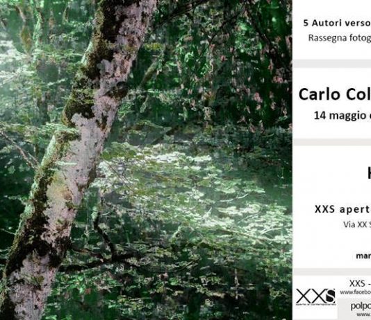 Carlo Columba – Habitat