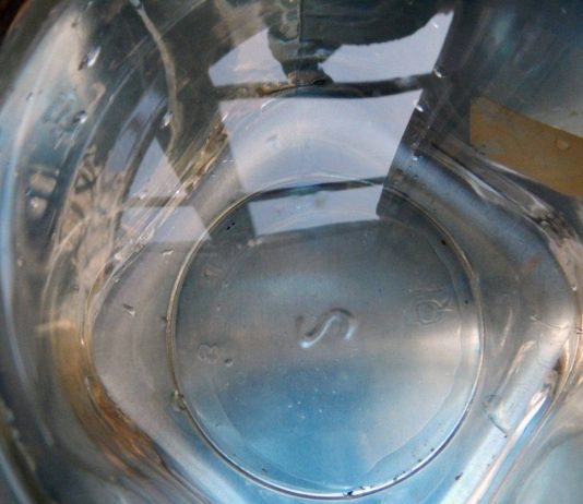 Cloti Ricciardi – Il piacere dell’acqua