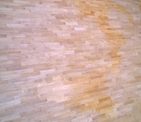 Domenico Antonio Mancini