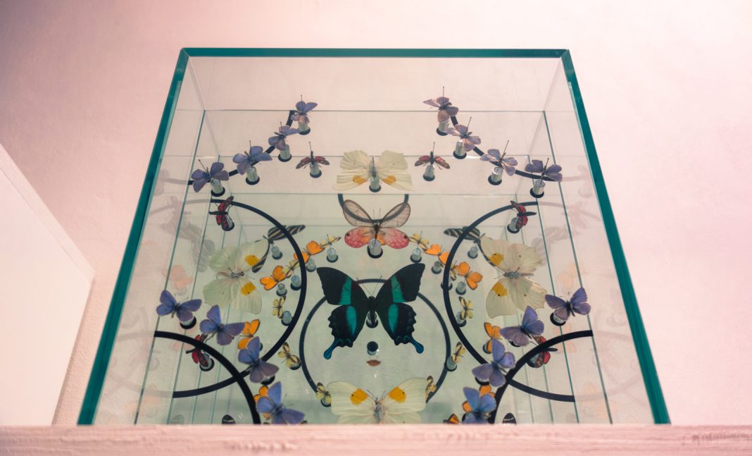 Edoardo Dionea Cicconi – Layershttps://www.exibart.com/repository/media/eventi/2015/05/edoardo-dionea-cicconi-8211-layers-1068x647.jpg