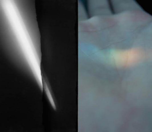 Fiorella Rizzo / Federica Di Carlo – Irradiazione