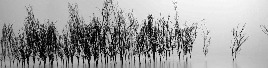 Francesco Bruni – Frattalitàhttps://www.exibart.com/repository/media/eventi/2015/05/francesco-bruni-8211-frattalità-1-1068x274.jpg