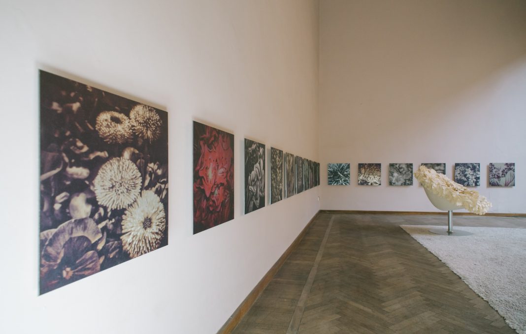 hosh.tra le meraviglie di Alicehttps://www.exibart.com/repository/media/eventi/2015/05/hosh.tra-le-meraviglie-di-alice-1-1068x679.jpg