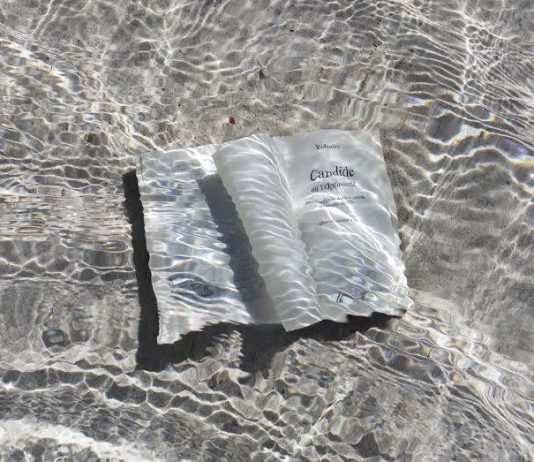 Ileana Florescu – Libri prohibiti