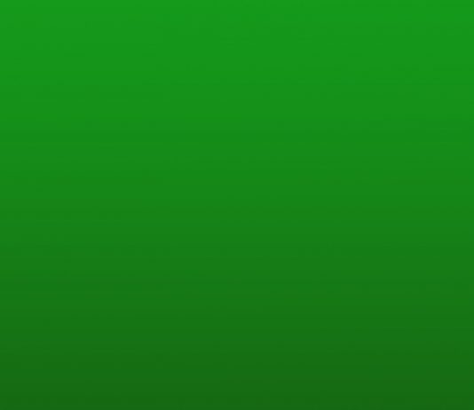 Katharina Fengler – Superfood