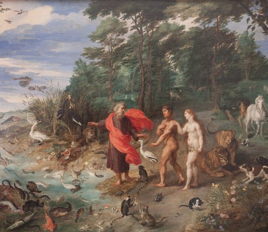 Letture d’arte in Ambrosiana: I codici della rappresentazione: soggettività e oggettività nel dialogo pittorico tra Italia e Nord-Europa Letture d’arte in Ambrosiana: I codici della rappresentazione: soggettività e oggettività nel dialogo pittorico tra Italia e Nord-Europa