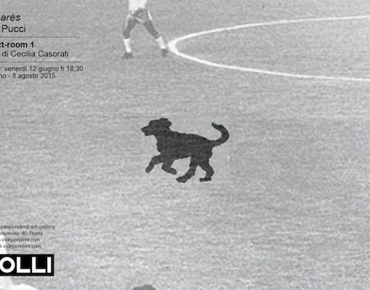 Luca Pucci – Palmarès