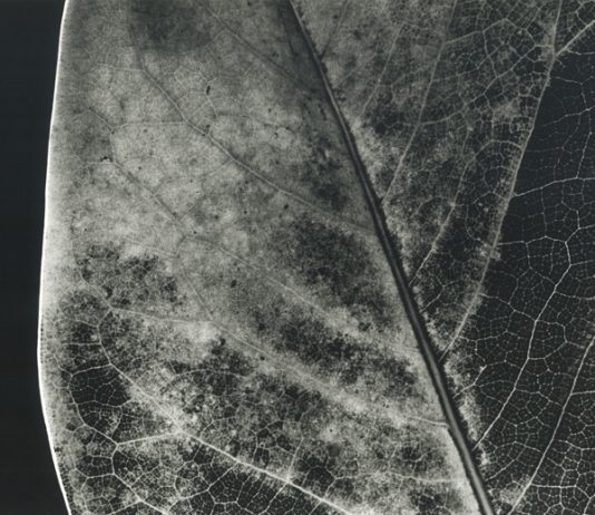 Paolo Ghiggini – Il terzo giorno