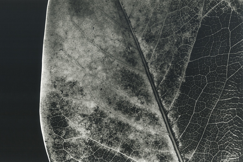 Paolo Ghiggini – Il terzo giornohttps://www.exibart.com/repository/media/eventi/2015/05/paolo-ghiggini-8211-il-terzo-giorno-1.jpg