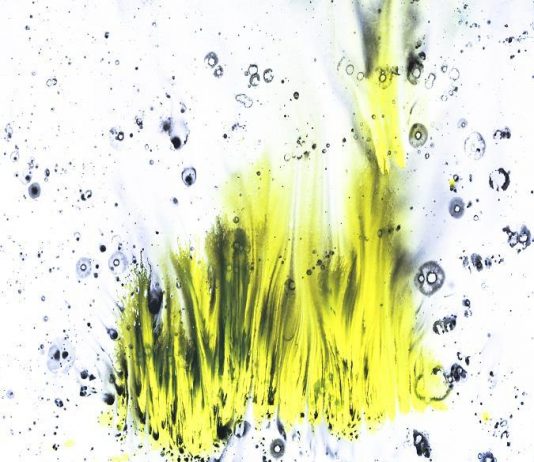 Stevens Vaughn – Calligrafia d’acqua