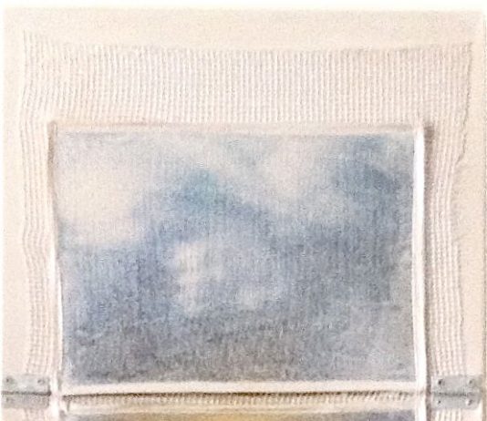 Storia di un anno: Anna Maria Sacconi