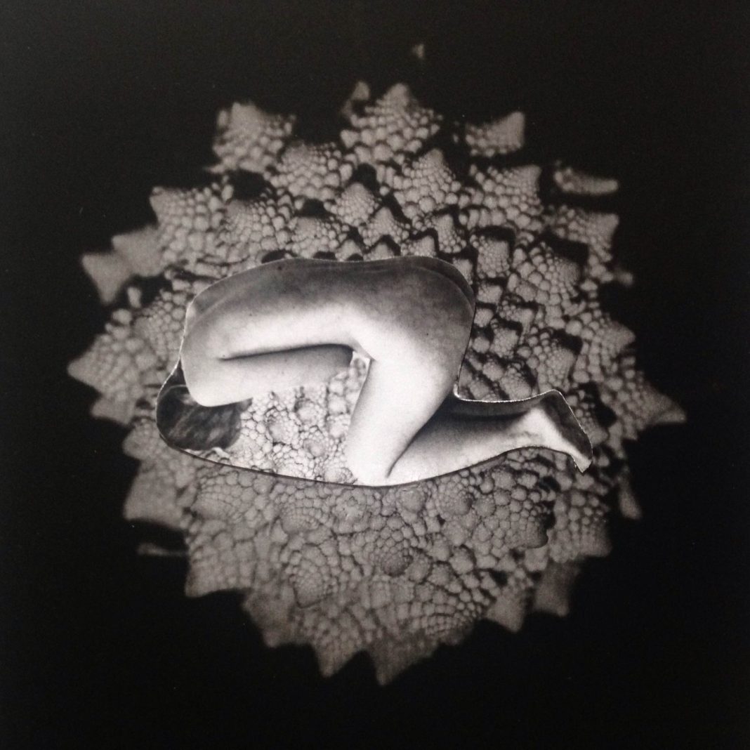 Tea Falco – L’effetto della causahttps://www.exibart.com/repository/media/eventi/2015/05/tea-falco-8211-l8217effetto-della-causa-1-1068x1068.jpg