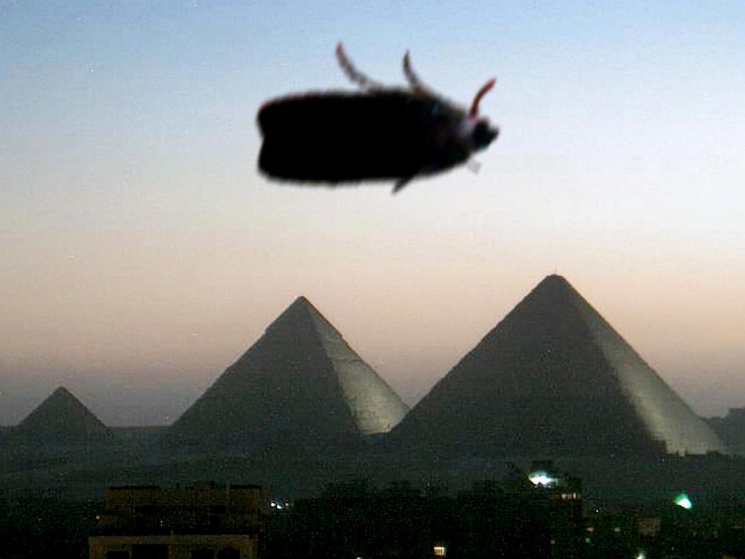 The Encyclopedia of Kurt Caviezelhttps://www.exibart.com/repository/media/eventi/2015/05/the-encyclopedia-of-kurt-caviezel-1068x801.jpg